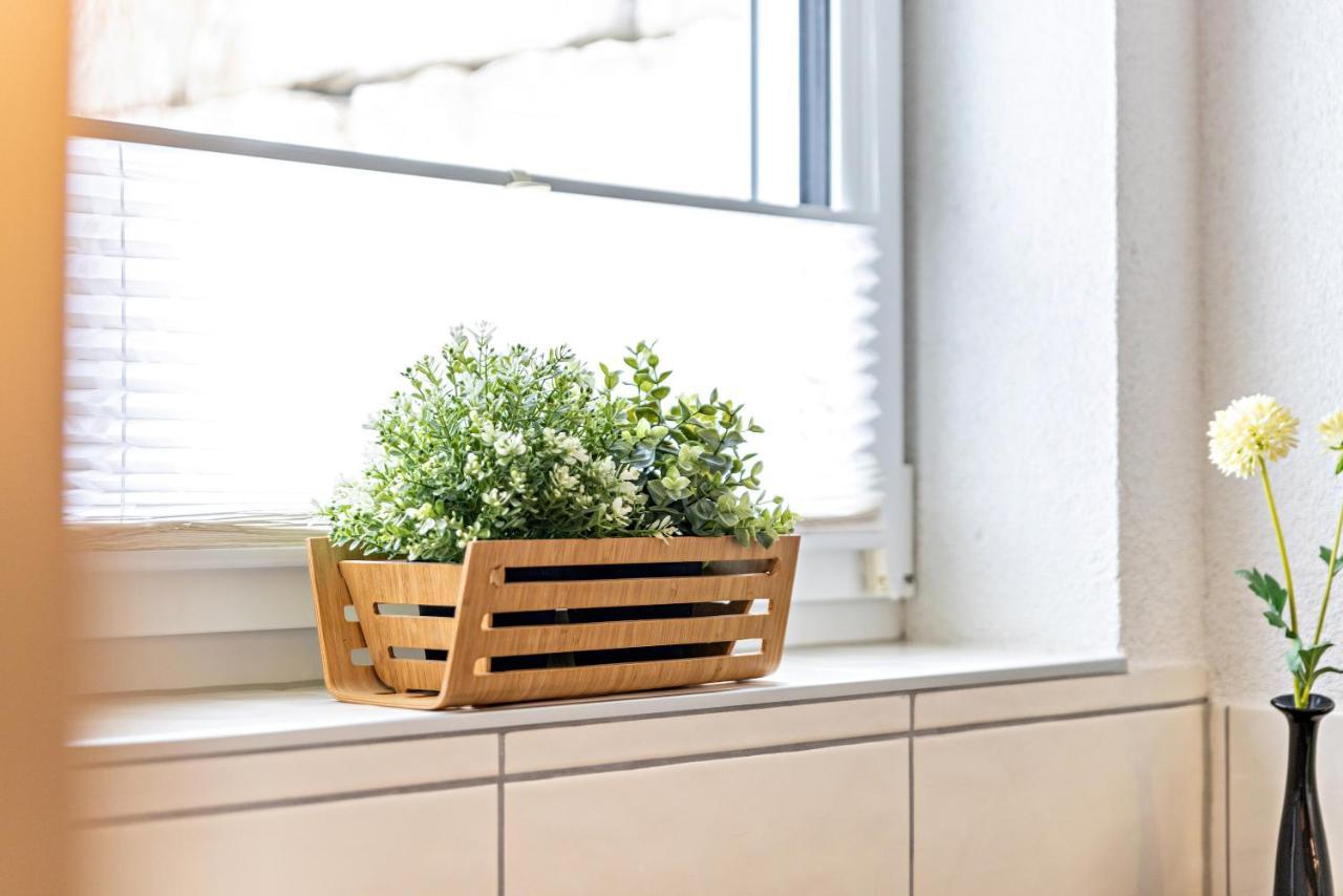 Ferienwohnung Alpenblick Zwiefalten Ngoại thất bức ảnh